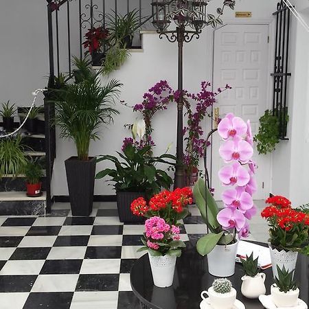 Hospederia Rural Las Buganvillas エル・ロシオ エクステリア 写真