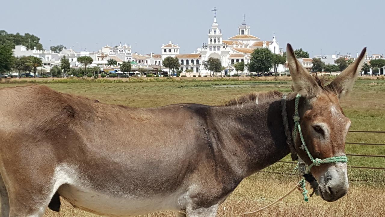 Hospederia Rural Las Buganvillas エル・ロシオ エクステリア 写真