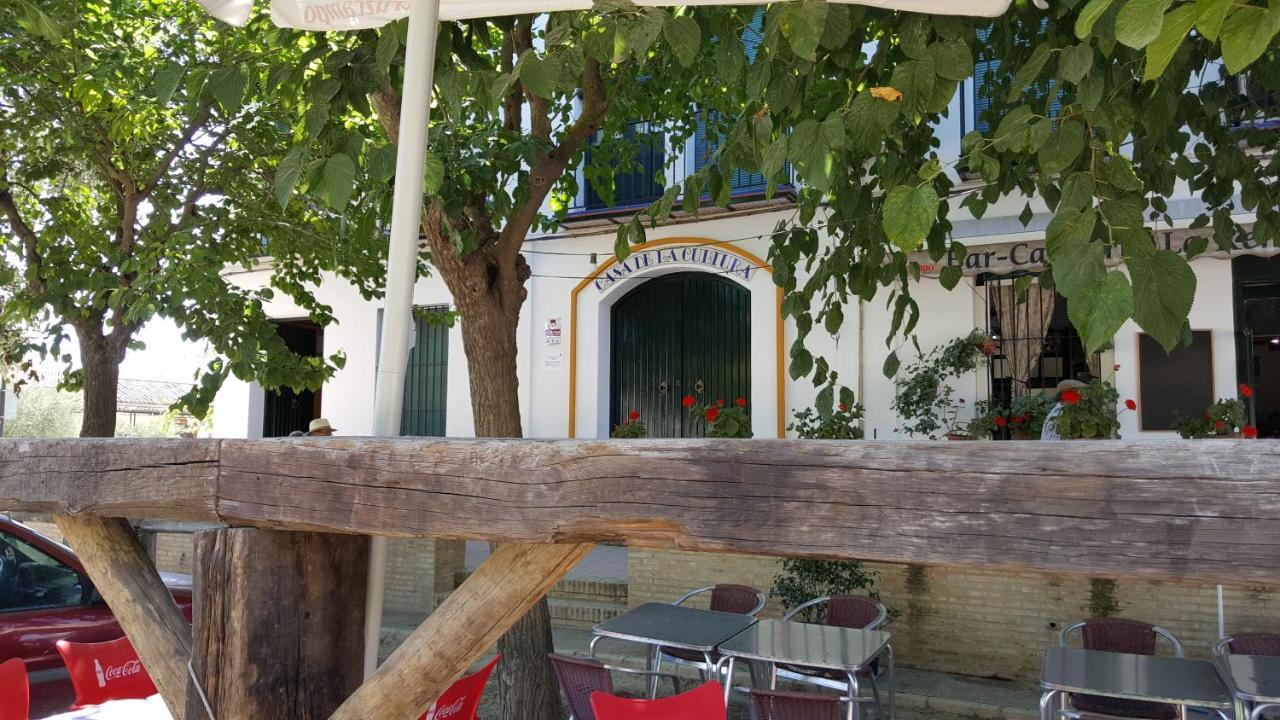 Hospederia Rural Las Buganvillas エル・ロシオ エクステリア 写真