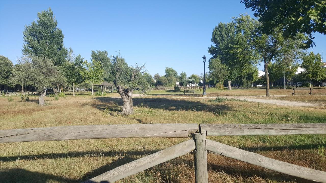 Hospederia Rural Las Buganvillas エル・ロシオ エクステリア 写真