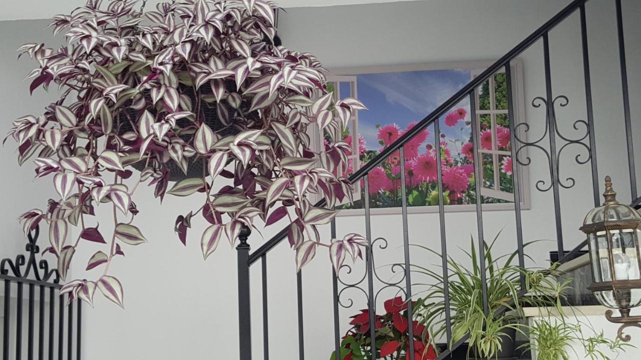 Hospederia Rural Las Buganvillas エル・ロシオ エクステリア 写真