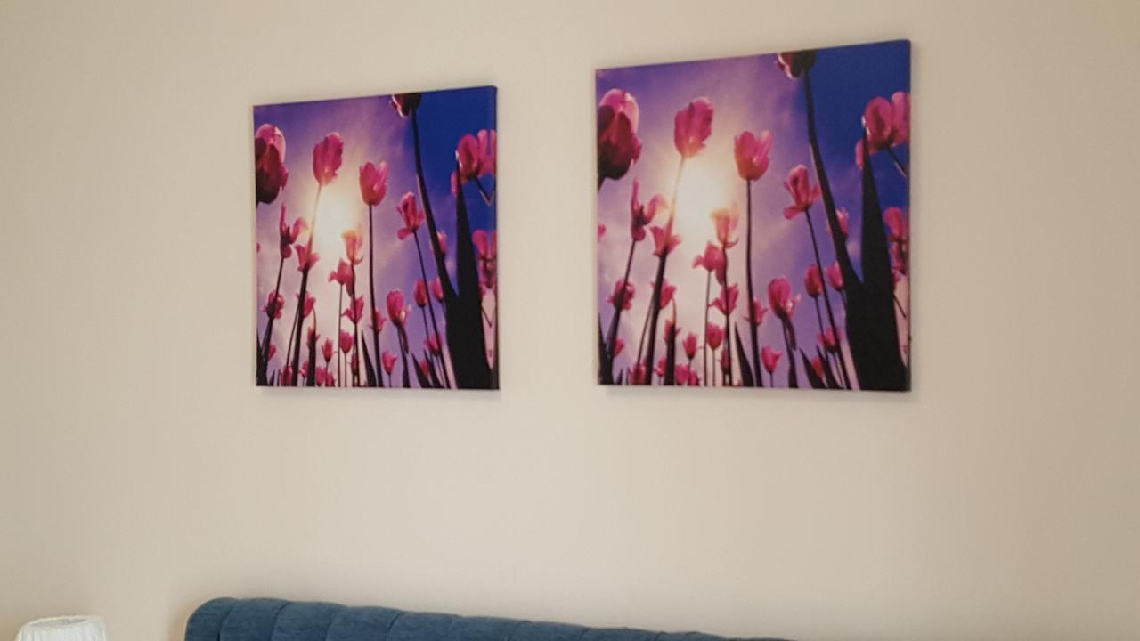 Hospederia Rural Las Buganvillas エル・ロシオ エクステリア 写真