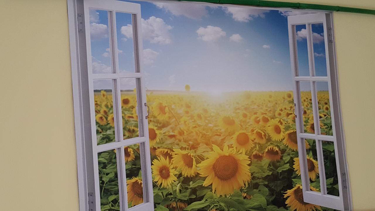 Hospederia Rural Las Buganvillas エル・ロシオ エクステリア 写真